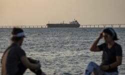 Vender al mejor postor: así se fija el precio en el multimillonario mercado del petróleo