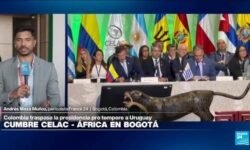 Crisis climática, oportunidades de desarrollo y conflictos mundiales: temas centrales en la Celac