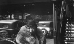 Les millors exposicions per visitar aquesta primavera