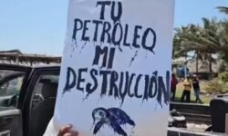 Preocupación civil por el derrame de petróleo en el golfo de México