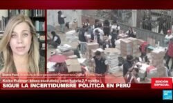 Elaine Ford: 'En elecciones es necesario sensibilizar a la ciudadanía sobre las redes sociales'