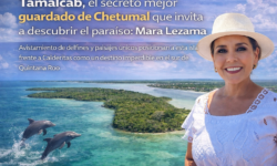 Tamalcab, el paraíso escondido de Chetumal donde puedes ver delfines