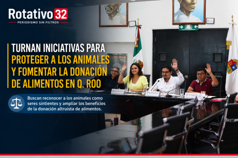 Turnan iniciativas para fortalecer la protección animal y fomentar la donación altruista de alimentos en Quintana Roo