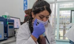 Jóvenes Construyendo el Futuro abre registro para recibir apoyos de 9,500 pesos mensuales