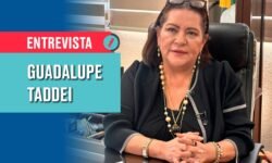 Taddei: “Pido a los partidos que nadie involucrado con crimen organizado sea parte de las candidaturas”