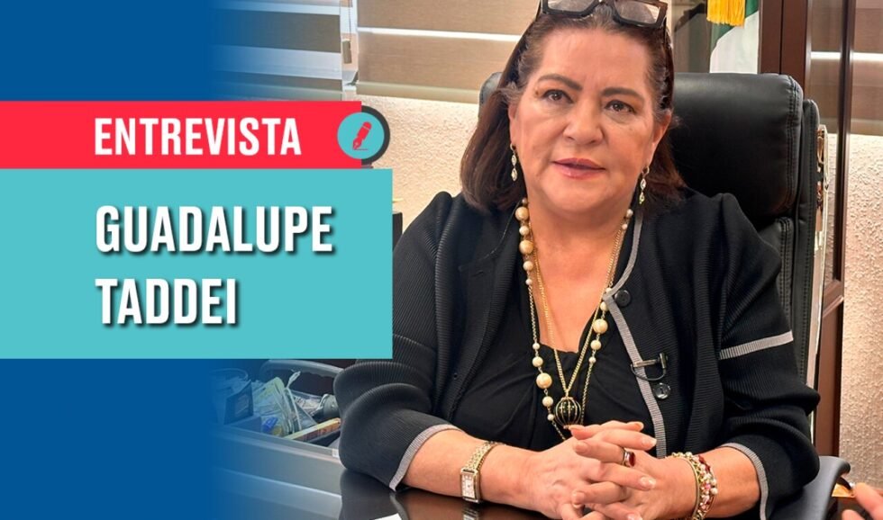 Taddei: “Pido a los partidos que nadie involucrado con crimen organizado sea parte de las candidaturas”