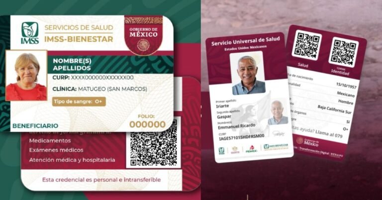 Credencial Única de Salud vs. IMSS-Bienestar: estas son las diferencias y los beneficios de cada tarjeta