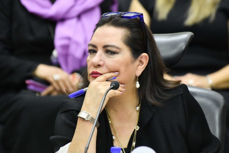 Guadalupe Taddei: quiénes pueden ocupar su lugar tras renunciar a la presidencia del INE