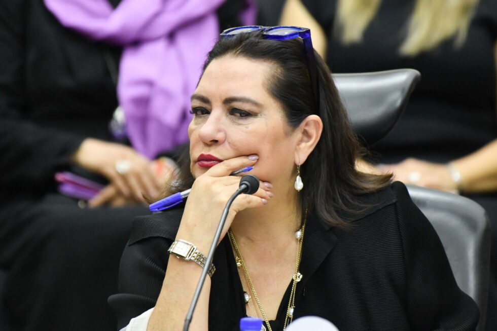 Guadalupe Taddei: quiénes pueden ocupar su lugar tras renunciar a la presidencia del INE